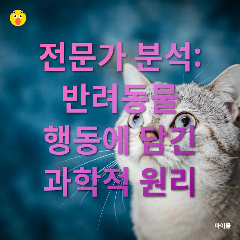반려동물 심리_2