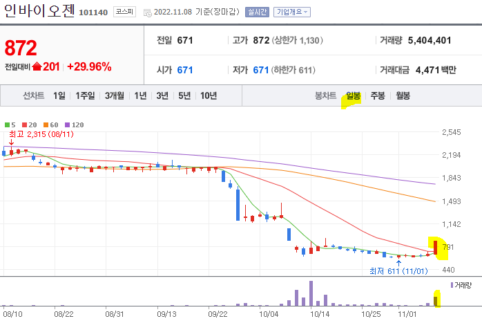 인바이오젠 일봉차트