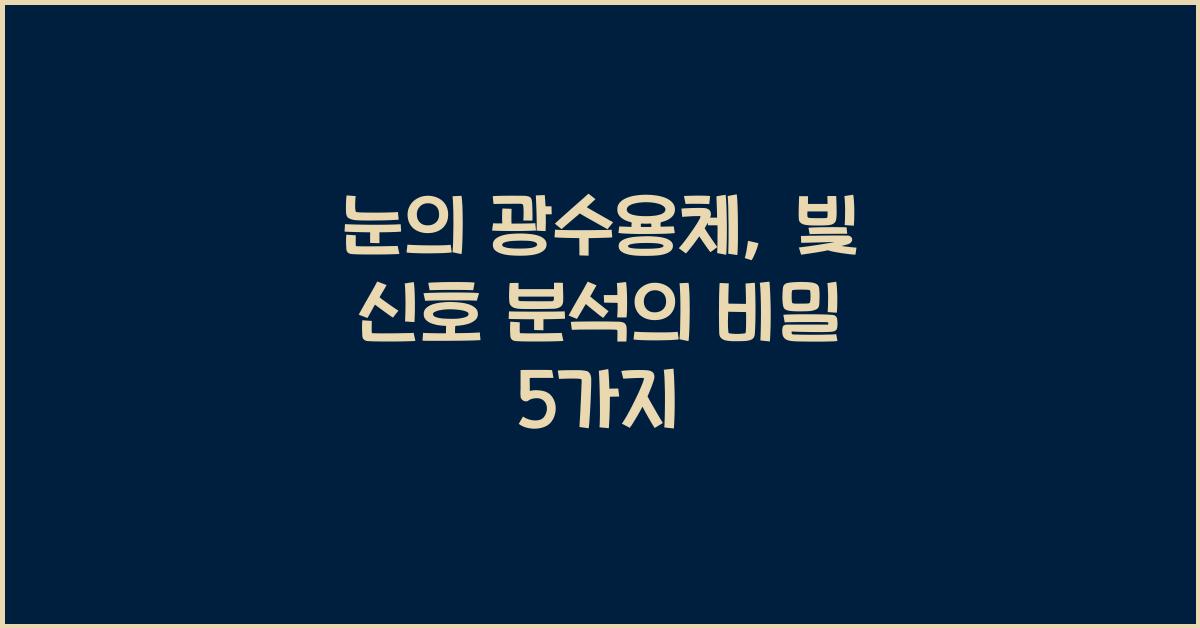 눈의 광수용체, 빛 신호 분석