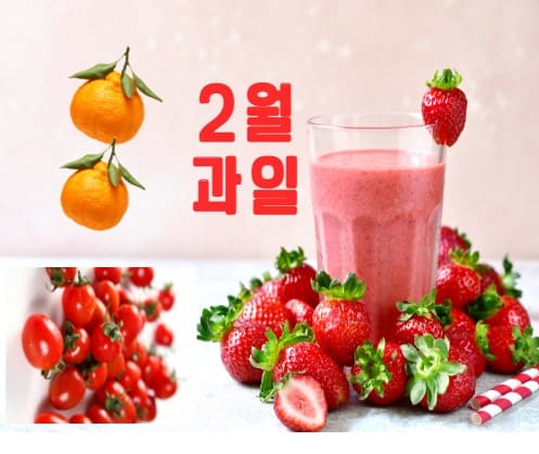  맛과 영양이 풍부한 2월 제철 과일! 쓱 정리!