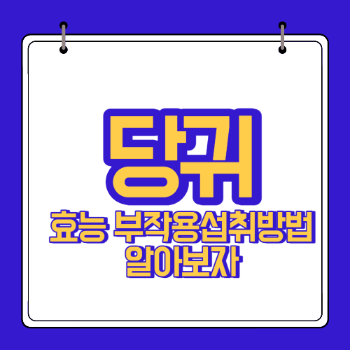  당귀 효능 부작용 알고 섭취 하자