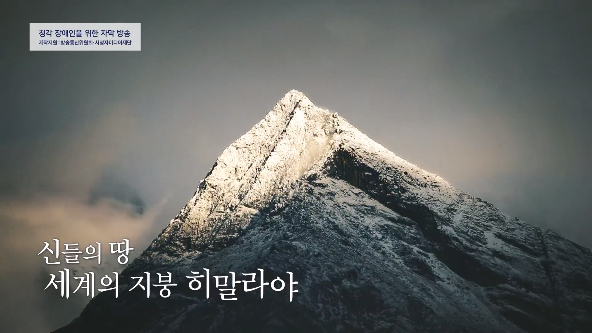 일요 특선 다큐멘터리.E334.231231p.H264-F1RST.mp4_20231231_151955.146.jpg
