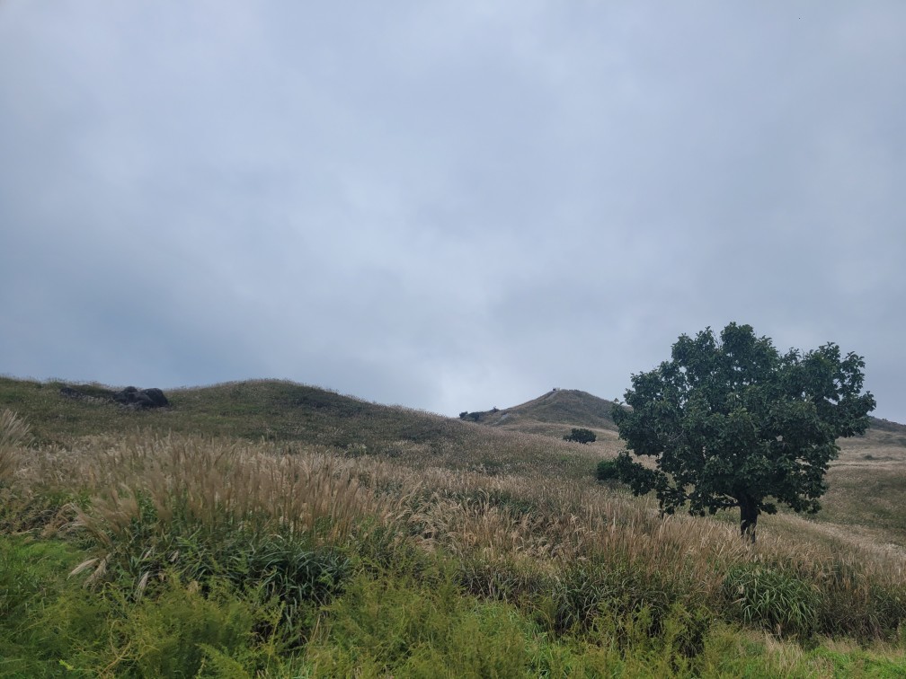 합천 황매산 억새 축제