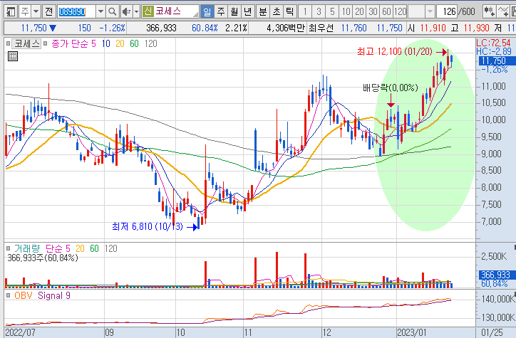 코세스-주가-흐름-차트