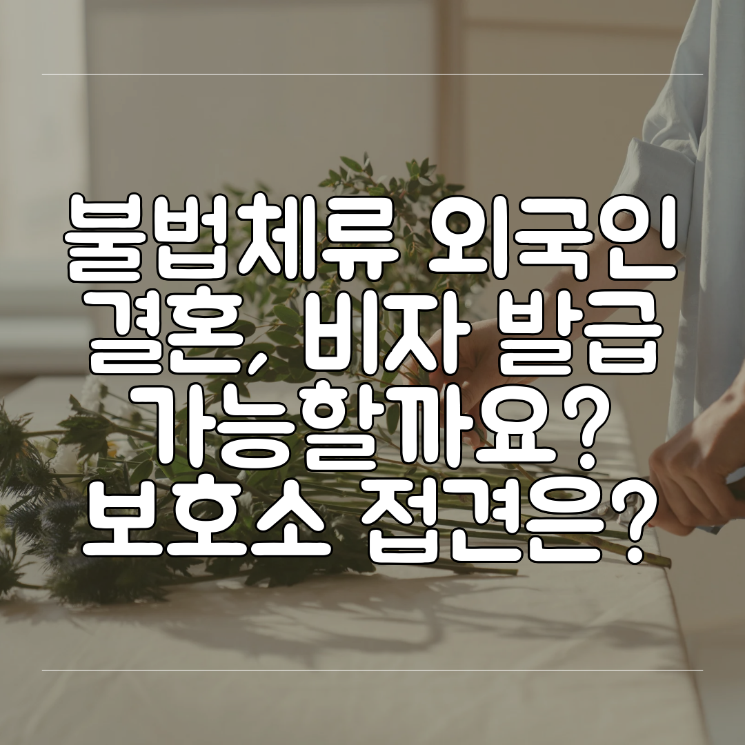 불법체류 외국인 결혼, 비자 발급 가능할까요 보호소 접견은