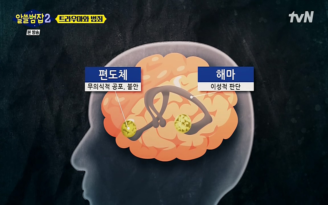 알쓸범잡 2.E11.220321p-NEXT.mp4_20220321_181826.173.jpg