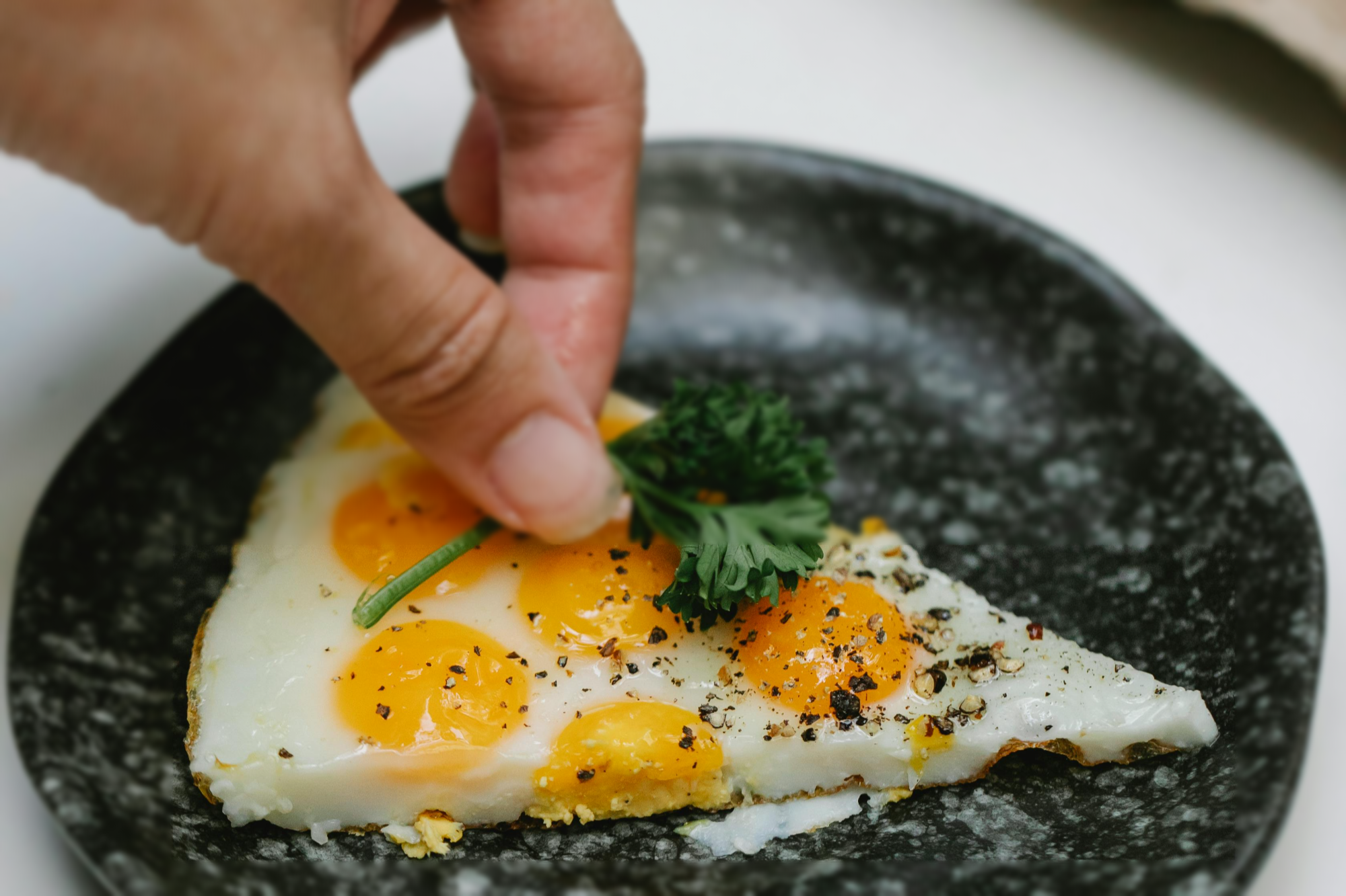 건강 단백질 계란요리사진
