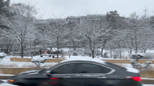 장충단공원 겨울 눈 동대입구역 공원