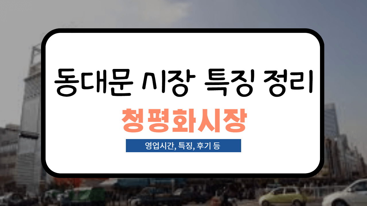  [동대문 시장 특징 정리] 동대문 청평화 시장 특징 및 후기 정리!(영업시간, 도매 팁, 사입 정보 등)