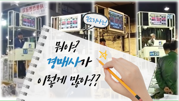  지금껏 경매사 자격증을 취득한 사람은 총 5,748명 입니다!