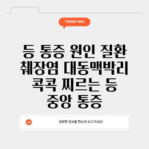 등 통증 원인 질환 췌장염 대동맥박리 콕콕 찌르는 등 중앙 통증