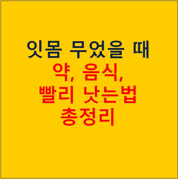 잇몸 부었을때 약 음식 빨리 낫는법 총정리