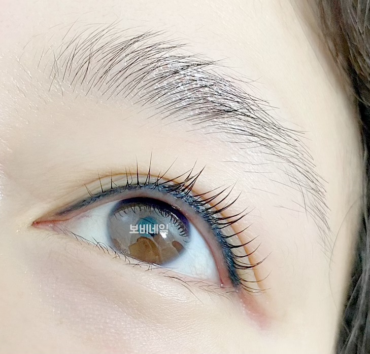 보비네일 이미지
