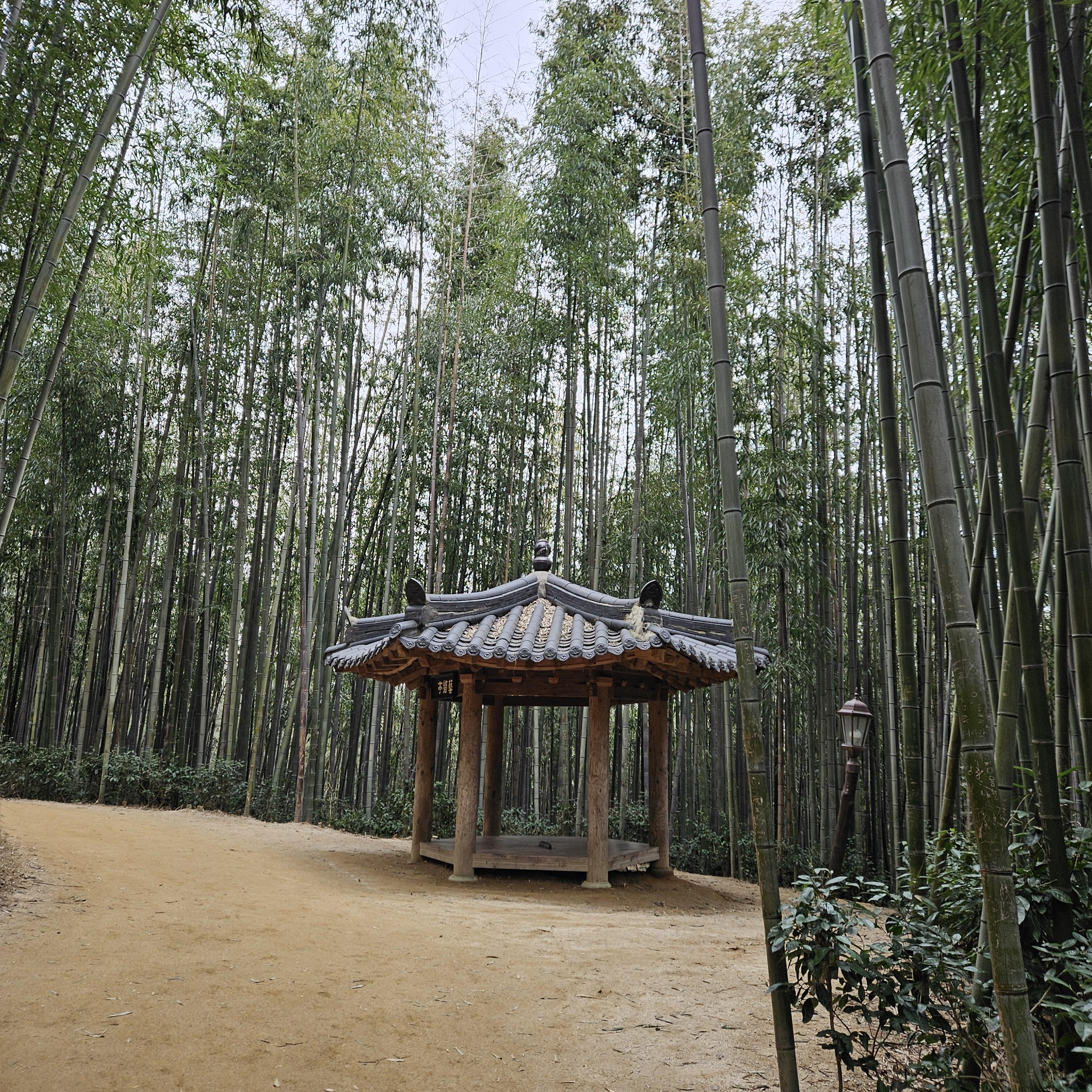 죽녹원2