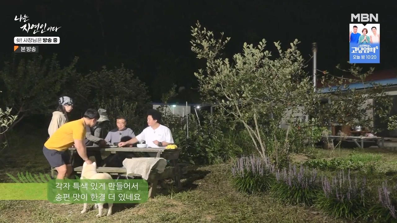 나는 자연인이다.E573.230928p-NEXT.mp4_20230929_174827.304.jpg