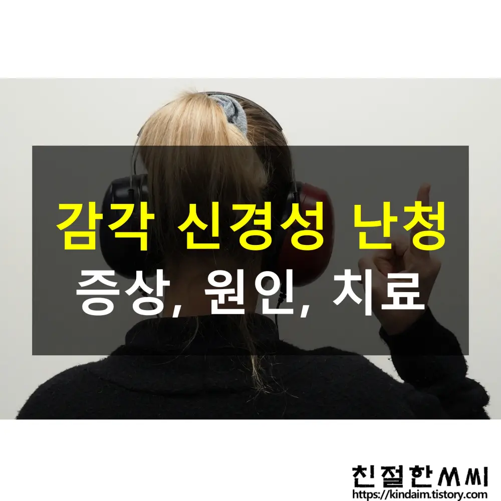 감각 신경성 난청의 이해(난청원인&#44; 증상&#44; 치료)