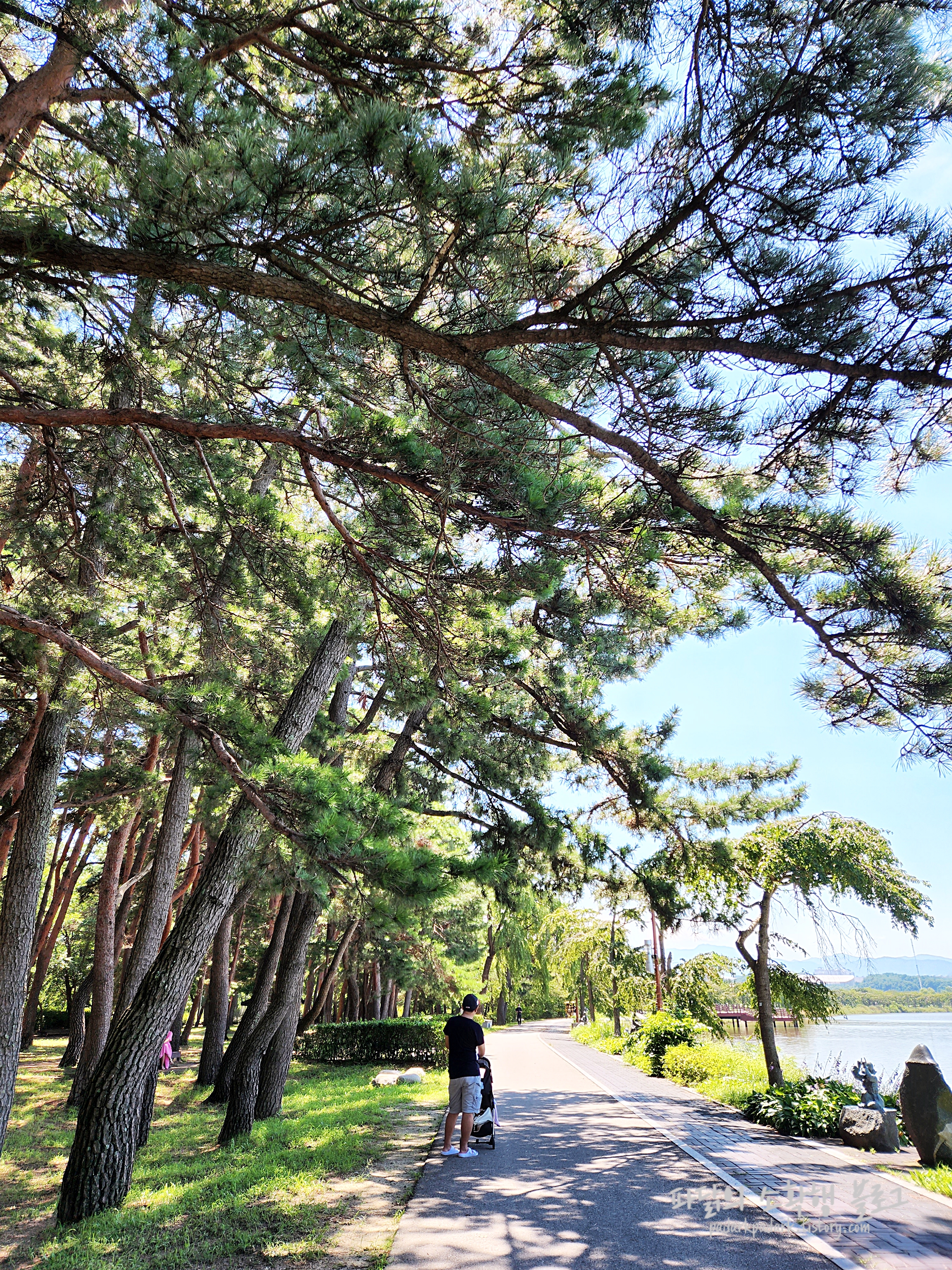 경포호 산책길