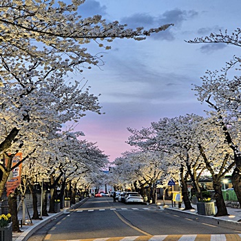 잠들기-전-한-단어-꿈-바꾼다-dormio-도미오-기술-셀프-적용-방법-설계-MIT
