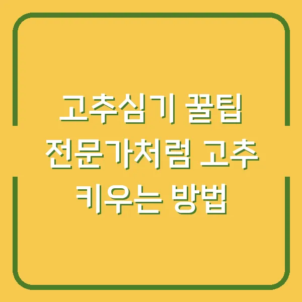 고추심기 꿀팁 전문가처럼 고추 키우는 방법