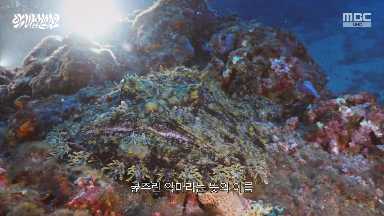 MBC 네트워크특선.E1670.240403p-NEXT.mp4_20240403_203719.743.jpg