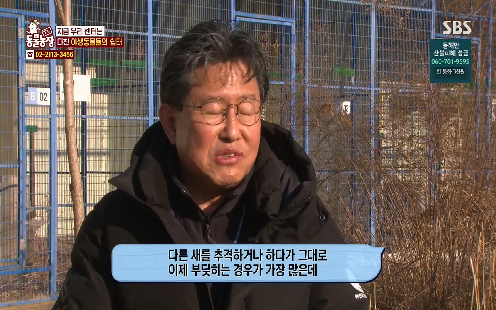 TV 동물농장.E1061.220320p.H264-F1RST.mp4_20220320_183602.672.jpg