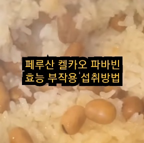 페루산-켈카오-파바빈