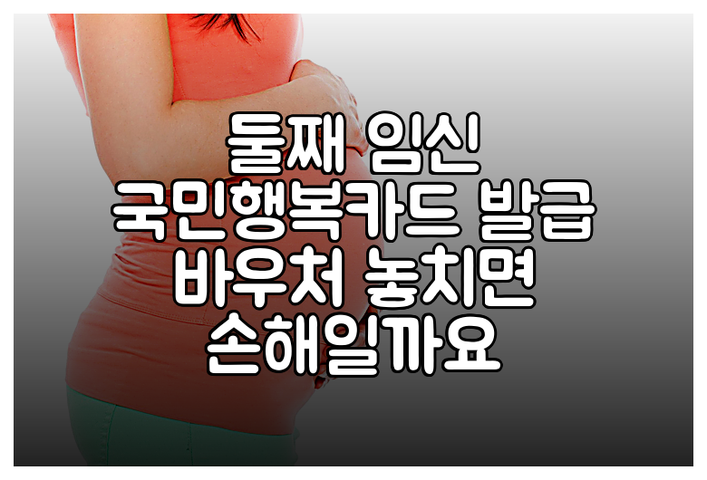 둘째 임신 국민행복카드 발급 바우처 놓치면 손해일까요
