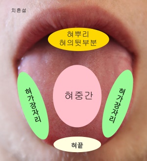 치흔설