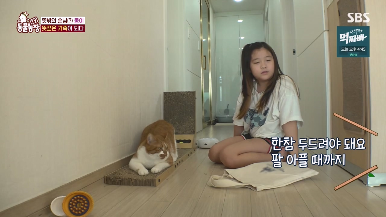 TV 동물농장.E1140.231009p-NEXT.mp4_20231008_174820.592.jpg
