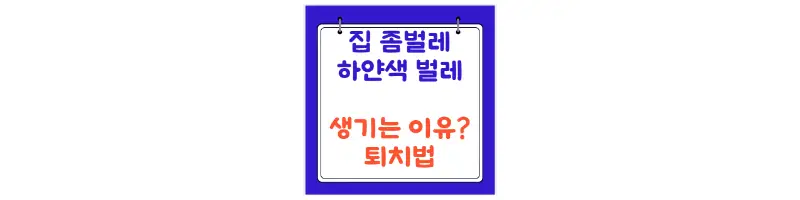  집 하얀색 벌레 좀벌레 생기는 이유 퇴치법