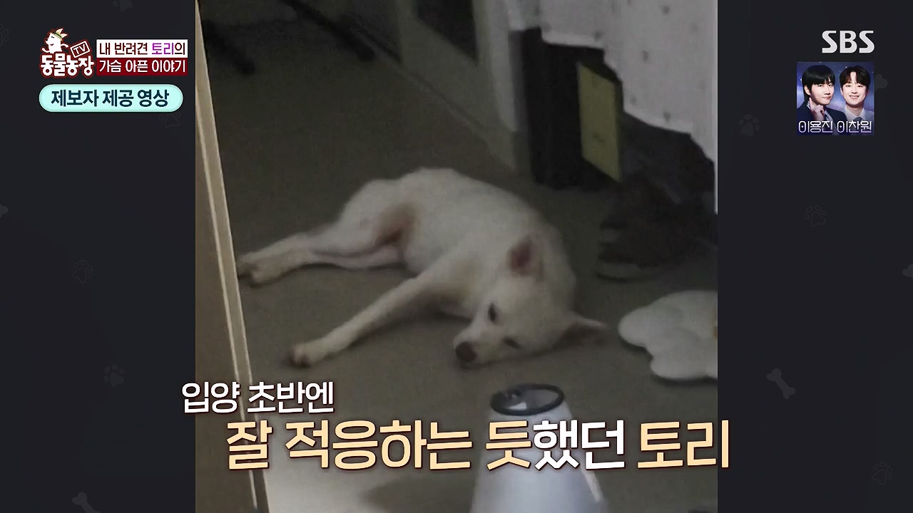 TV 동물농장.E1179.240708p-NEXT.mp4_20240707_160432.834.jpg