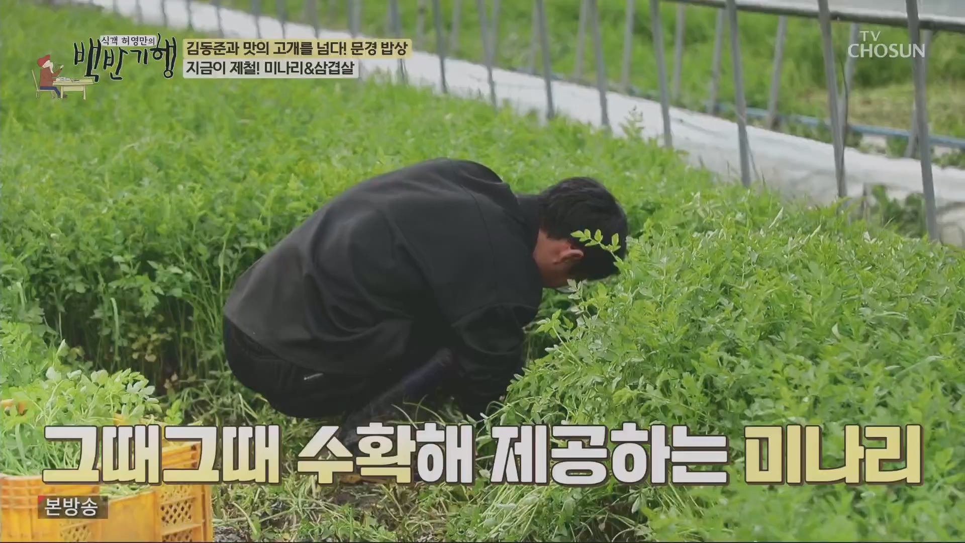 식객 허영만의 백반기행.E245.240428p.H264-F1RST.mp4_20240429_211853.990.jpg
