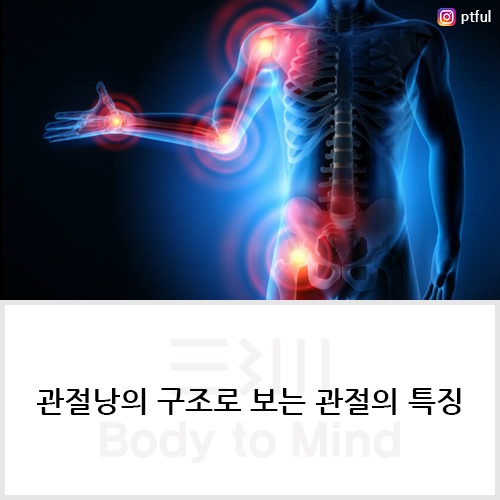  관절낭(joint capsule)의 구조(structure)로 보는 관절(joint)의 특징