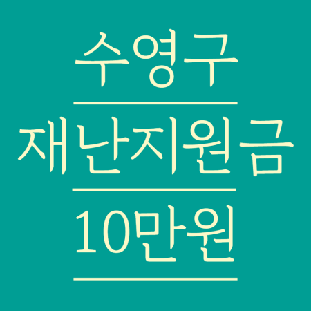 부산 수영구 10만원 재난지원금