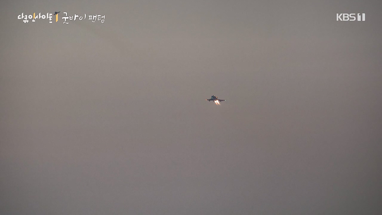 다큐 인사이트.E193.240621p-NEXT.mp4_20240621_205127.730.jpg