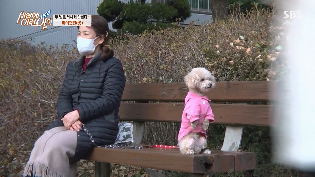 순간포착 세상에 이런일이.E1216.230208p-NEXT.mp4_20230208_194156.541.jpg