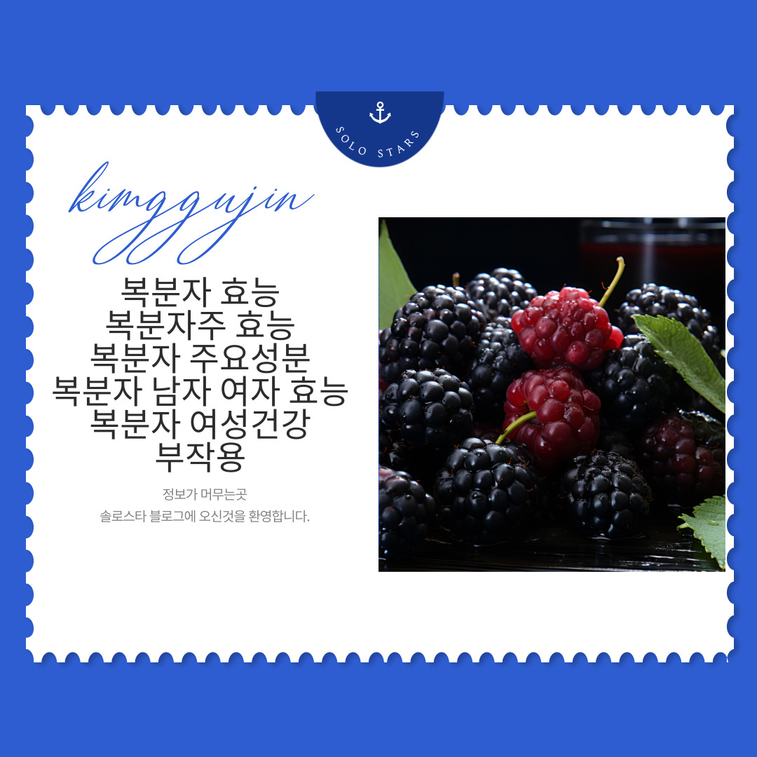 복분자 사진