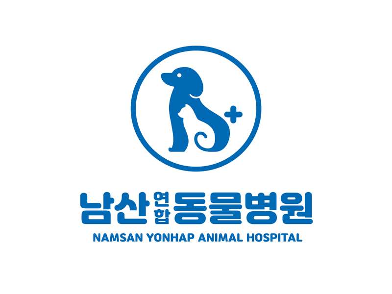 대구 중구 애견미용 잘하는 곳 BEST4 | 비용 비교 | 후기 작성 | 예약 방법 | 반려견 관리 | 추천 서비스 | 총정리 - 4. 남산연합동물병원 소개 대구 중구 애견미용 잘하는 곳 BEST4 | 비용 비교 | 후기 작성 | 예약 방법 | 반려견 관리 | 추천 서비스 | 총정리 - 4. 남산연합동물병원 소개