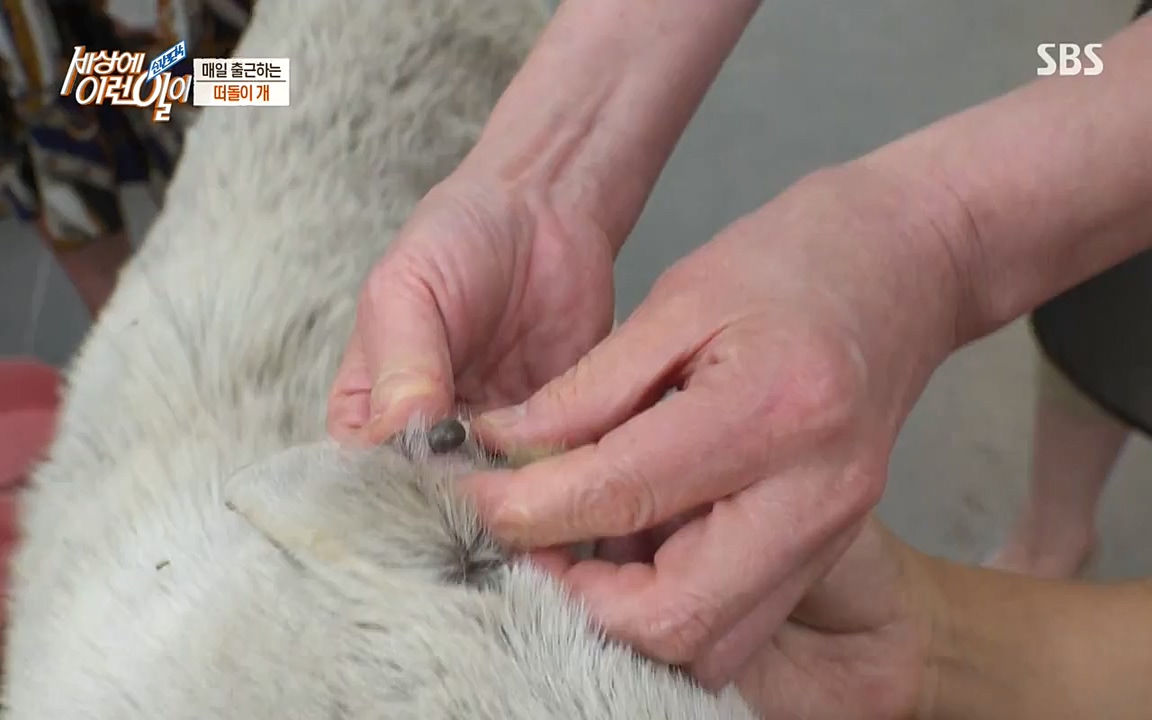 순간포착 세상에 이런일이.E1185.220622p-NEXT.mp4_20220622_201154.884.jpg