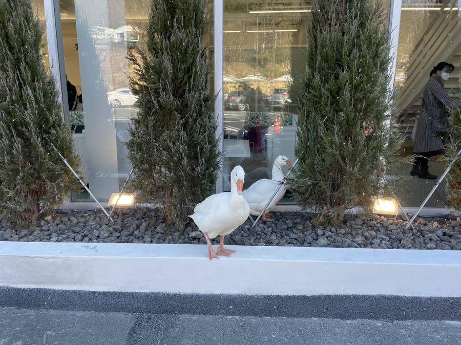 사랑 <느티나무의 > 4