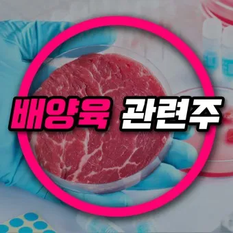 배양육 대장주 관련주 TOP5 총정리_6