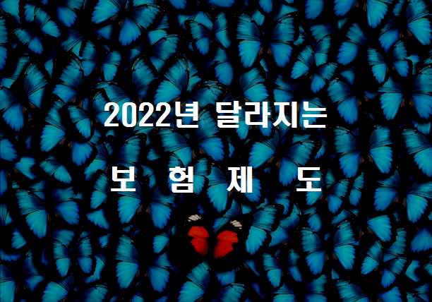  노다지네 잡학다식