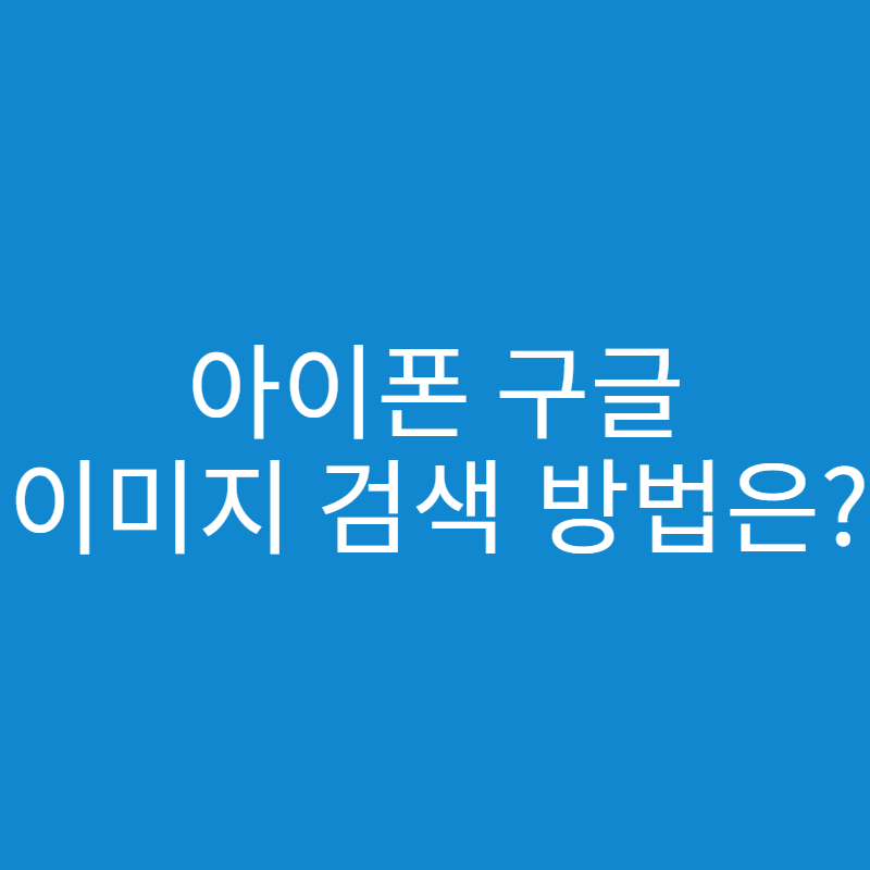  아이폰 구글 이미지 검색 방법은?
