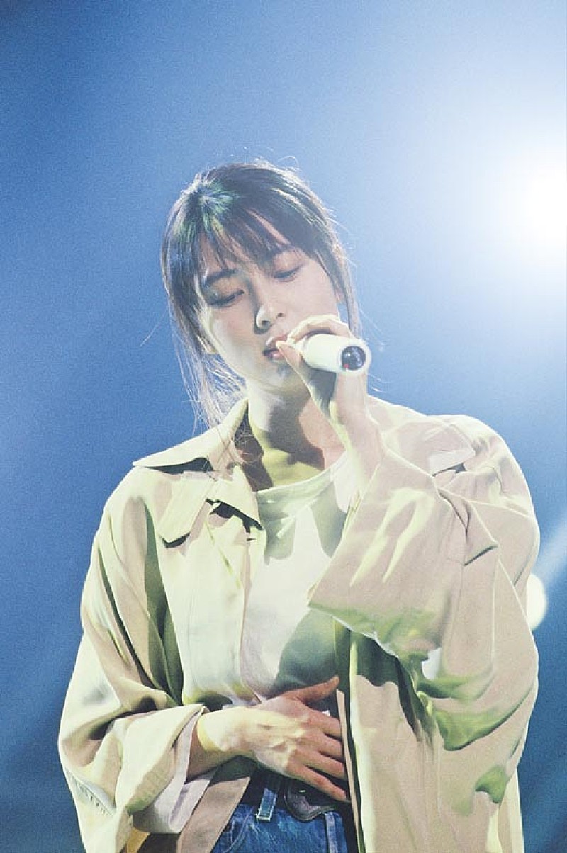 자드 사진 1