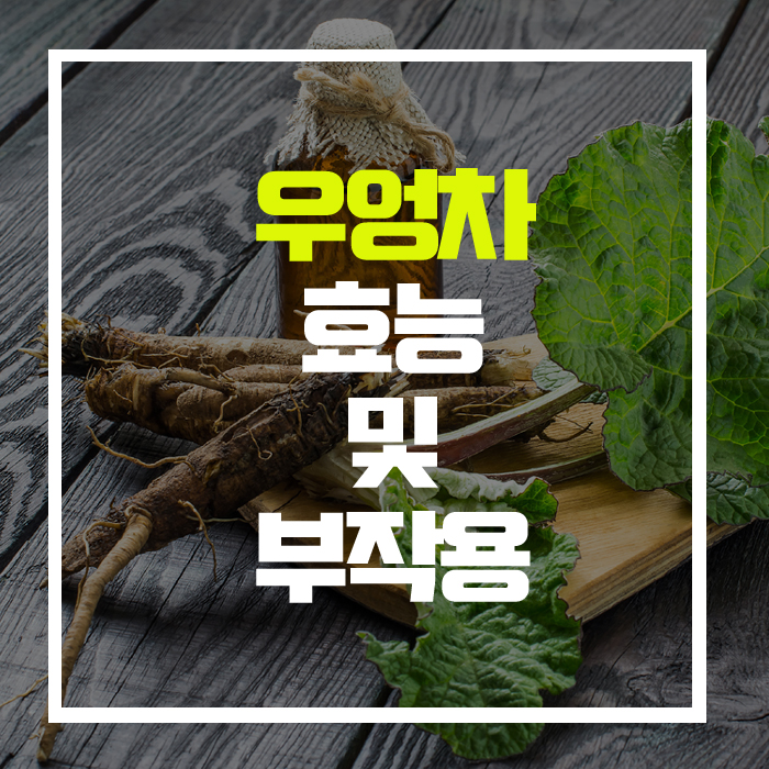 다이어트·당뇨·빈혈에 효과적은 '우엉차', 효능 및 부작용