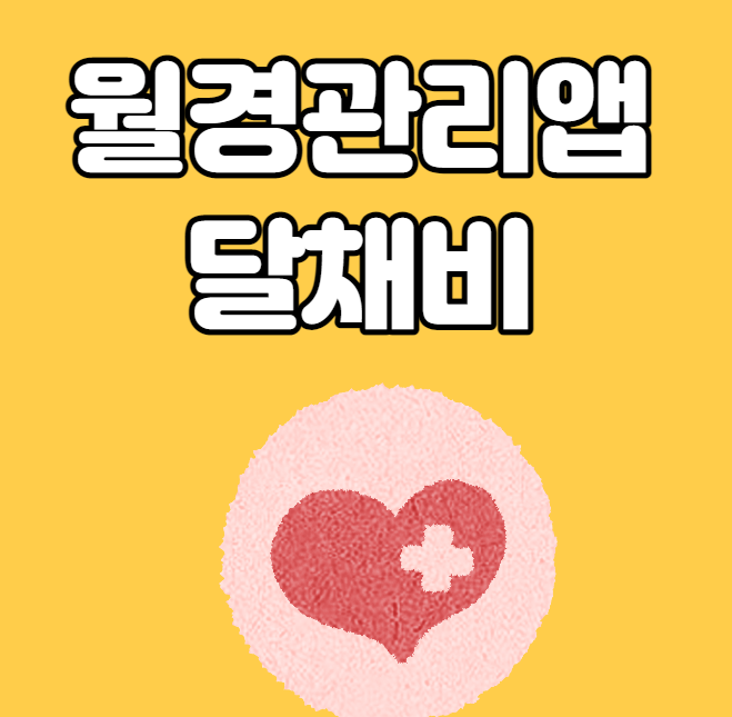  월경관리앱 달채비