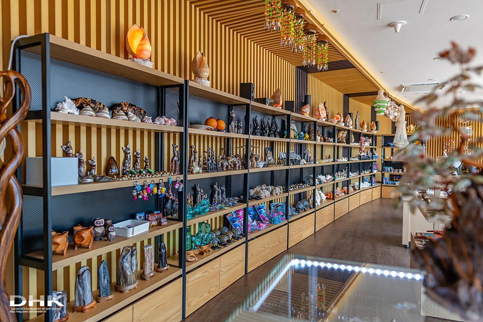 국내 1박2일 여름 여행 추천1박2일 서해 섬여행 신안 가볼만한곳 자은도 1004뮤지엄파크 세계조개박물관, 해바라기 23