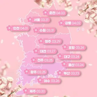 벚꽃 개화시기 2025년 지역별 모음_19