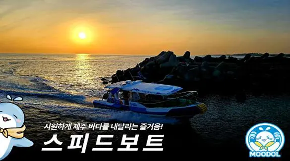 제주돌고래힐링투어