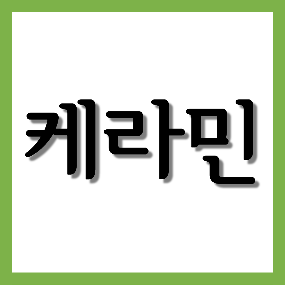  케라민캡슐,  효능/복용법/부작용 등 모든 것!